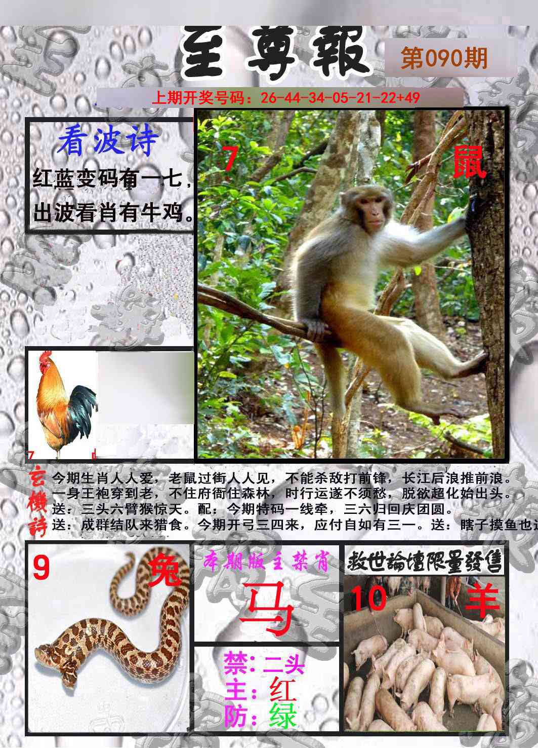 090期至尊报[图]